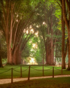 The Elms, Penn State