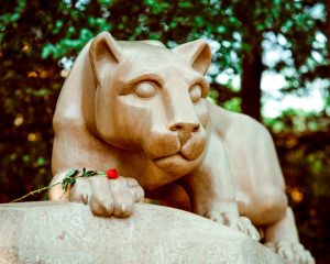 Lion and the Rose