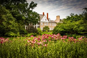 Summer at the Alumni Center