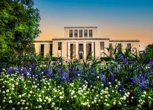 Pattee Library in July